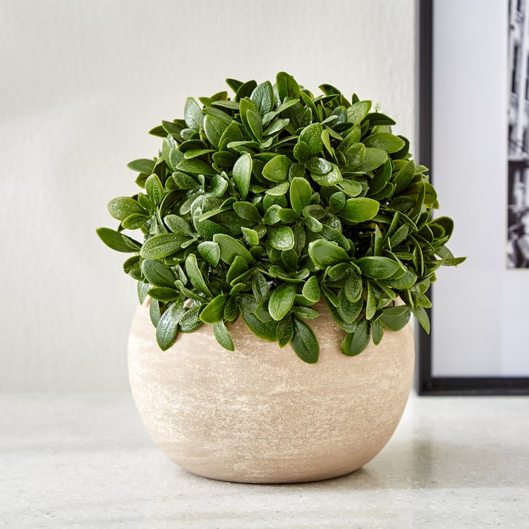 Gloria Bond Artificial Camellia Sinensis Plant in Paper Mache Pot