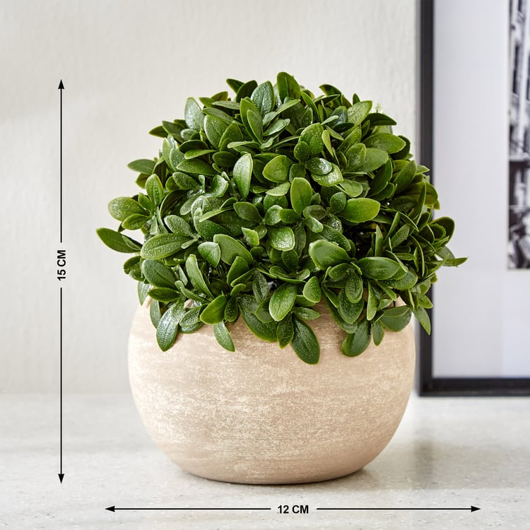 Gloria Bond Artificial Camellia Sinensis Plant in Paper Mache Pot