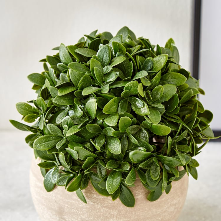 Gloria Bond Artificial Camellia Sinensis Plant in Paper Mache Pot