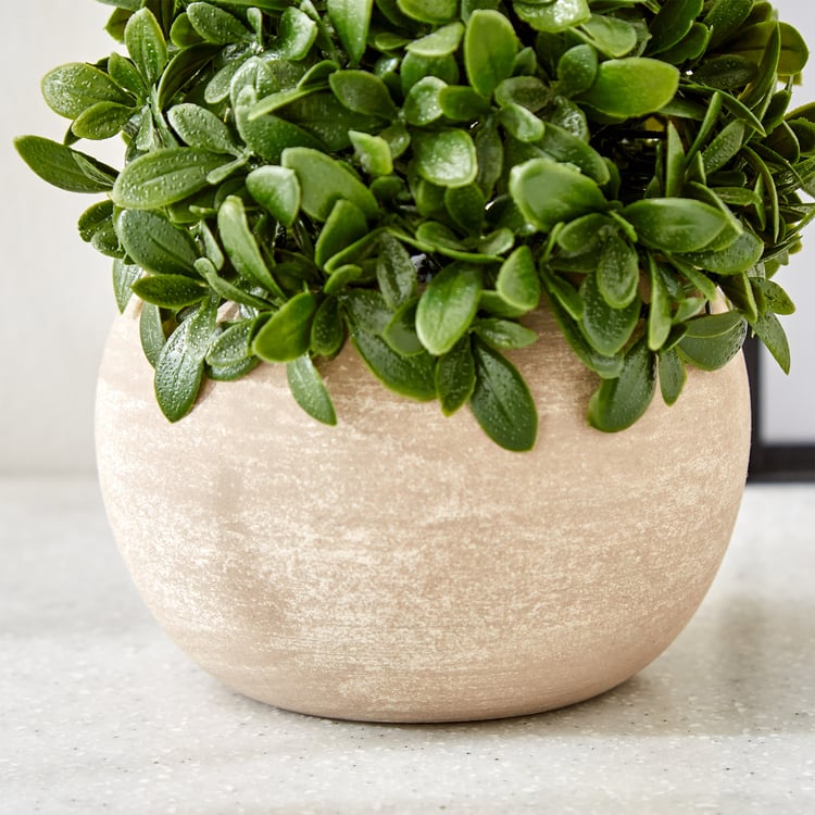 Gloria Bond Artificial Camellia Sinensis Plant in Paper Mache Pot