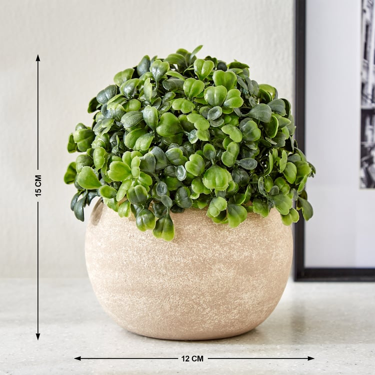 Gloria Bond Artificial Plant in Paper Mache Pot