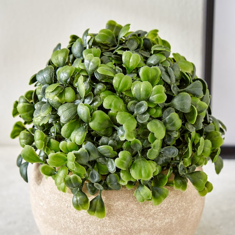 Gloria Bond Artificial Plant in Paper Mache Pot