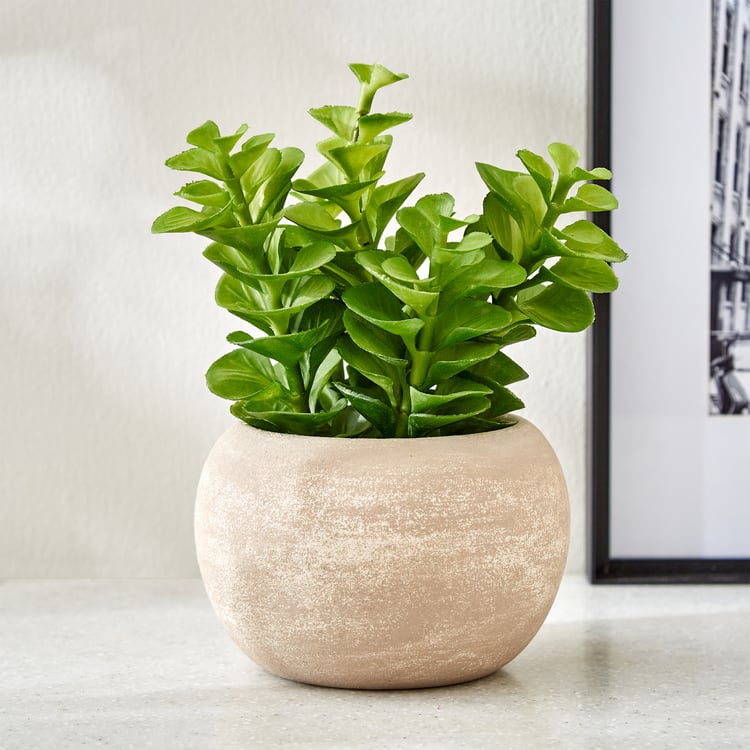 Gloria Bond Artificial Plant in Paper Mache Pot