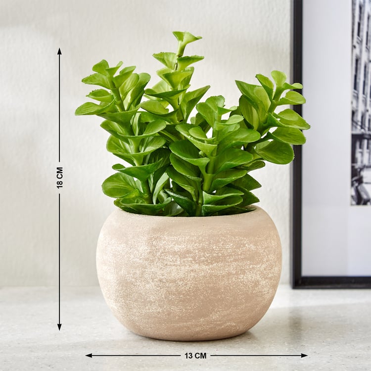 Gloria Bond Artificial Plant in Paper Mache Pot
