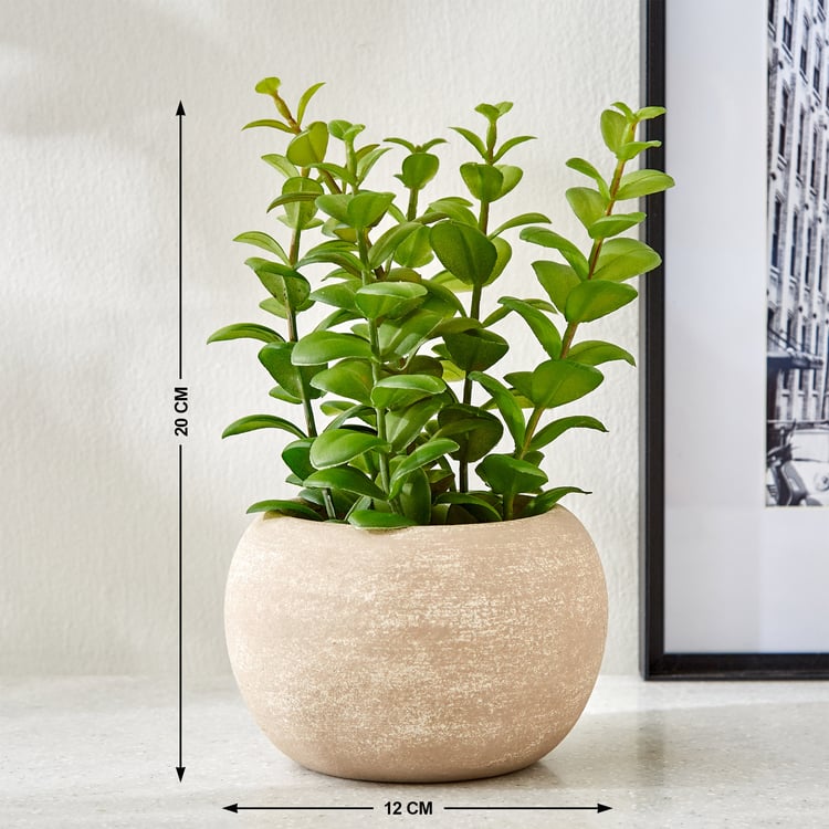 Gloria Bond Artificial Apple Leaf Plant in Paper Mache Pot