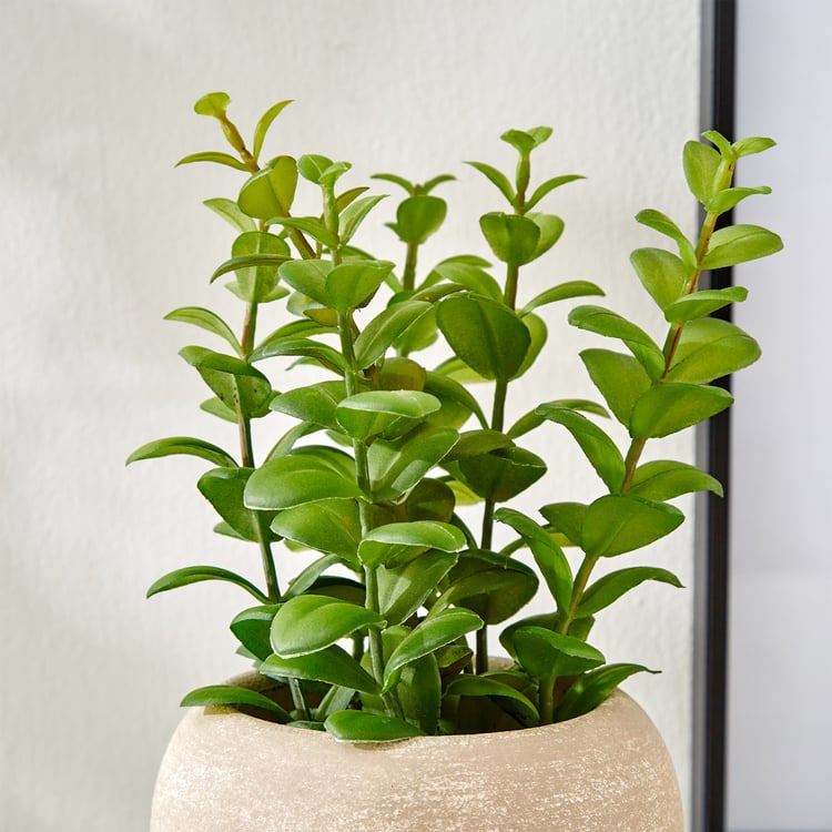 Gloria Bond Artificial Apple Leaf Plant in Paper Mache Pot