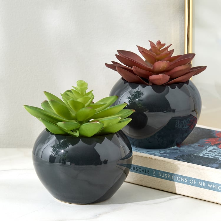 Gloria Poco Artificial Succulent in Ceramic Pot