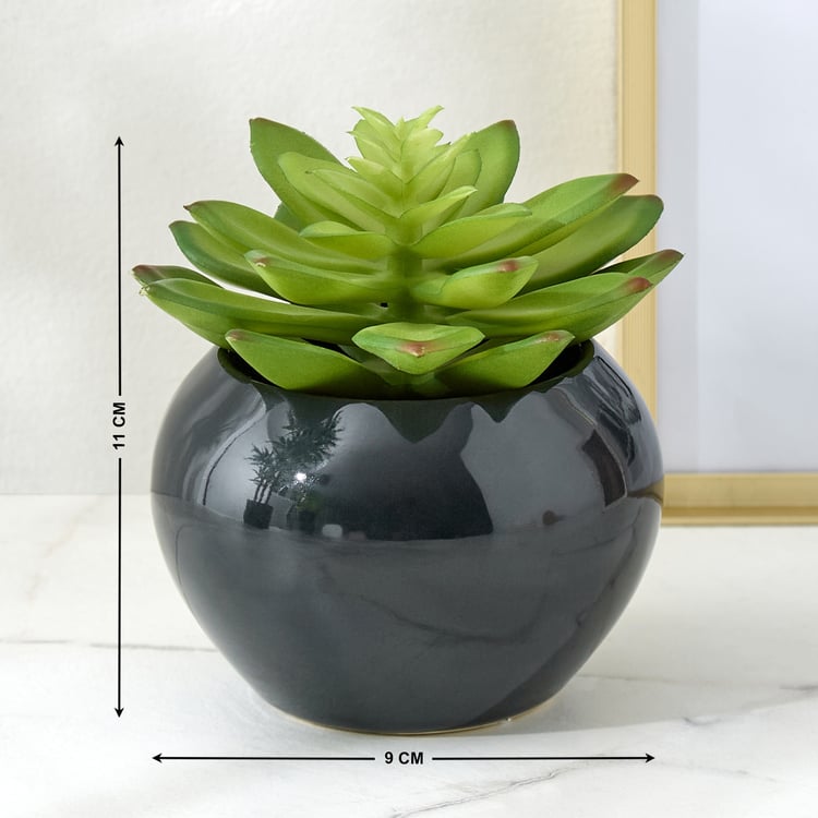 Gloria Poco Artificial Succulent in Ceramic Pot