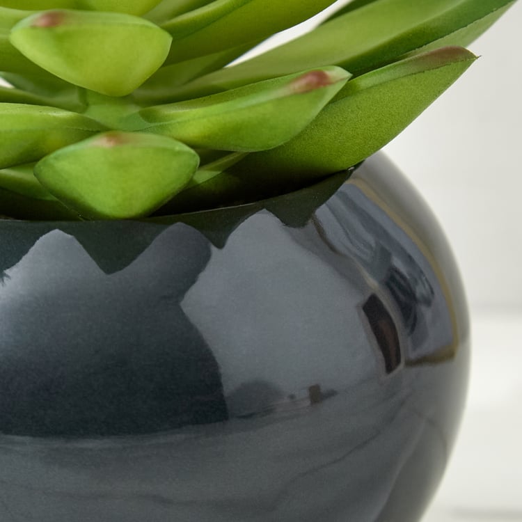 Gloria Poco Artificial Succulent in Ceramic Pot