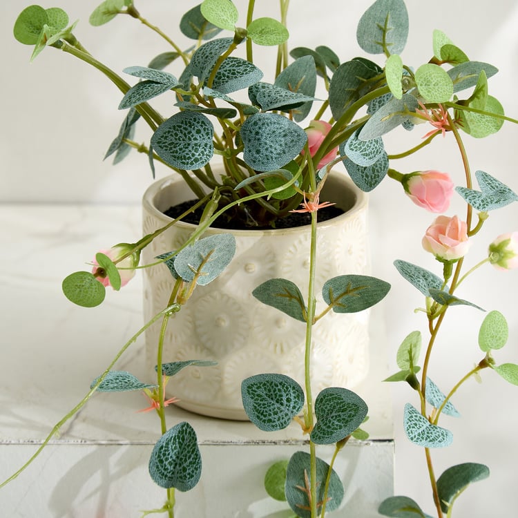 Gloria Drape Artificial Rose Bud Hanging Creeper in Ceramic Pot
