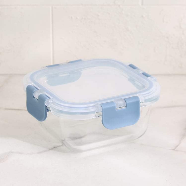 Palestine Astero Borosilicate Glass Storage Container - 320ml