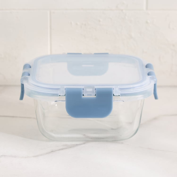 Palestine Astero Borosilicate Glass Storage Container - 320ml