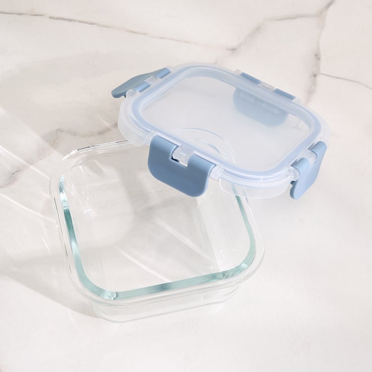 Palestine Astero Borosilicate Glass Storage Container - 320ml