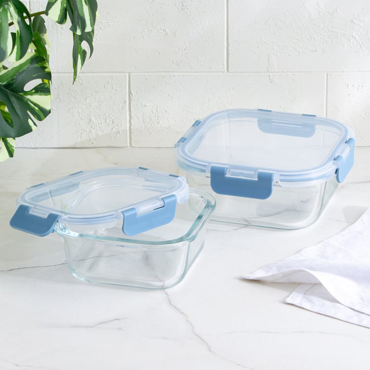 Palestine Astero Borosilicate Glass Storage Container - 500ml