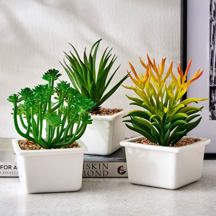 Fiesta Artificial Succulent in Ceramic Pot