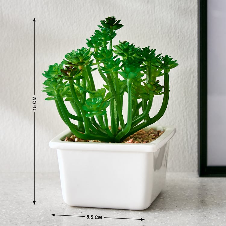 Fiesta Artificial Succulent in Ceramic Pot