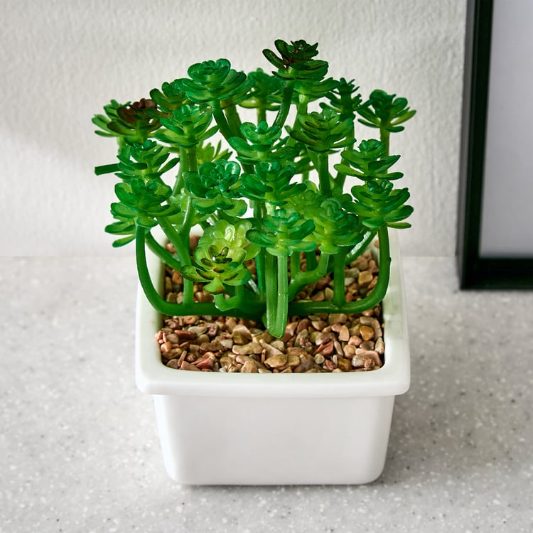 Fiesta Artificial Succulent in Ceramic Pot