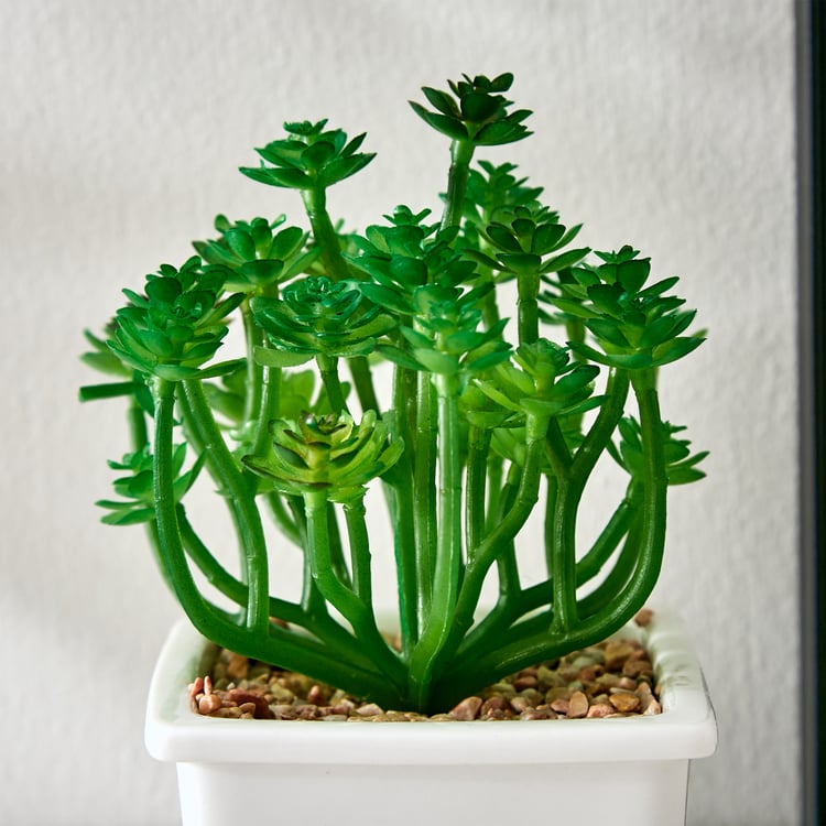 Fiesta Artificial Succulent in Ceramic Pot