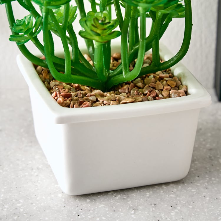 Fiesta Artificial Succulent in Ceramic Pot