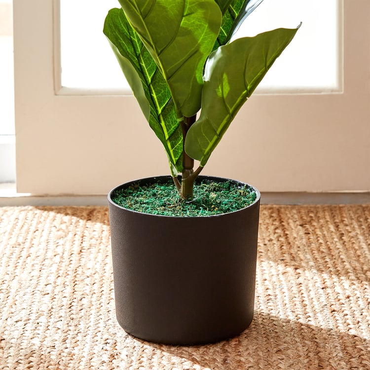 Fiesta Shrub Artificial Fiddle Leaf Fig Plant in Pot