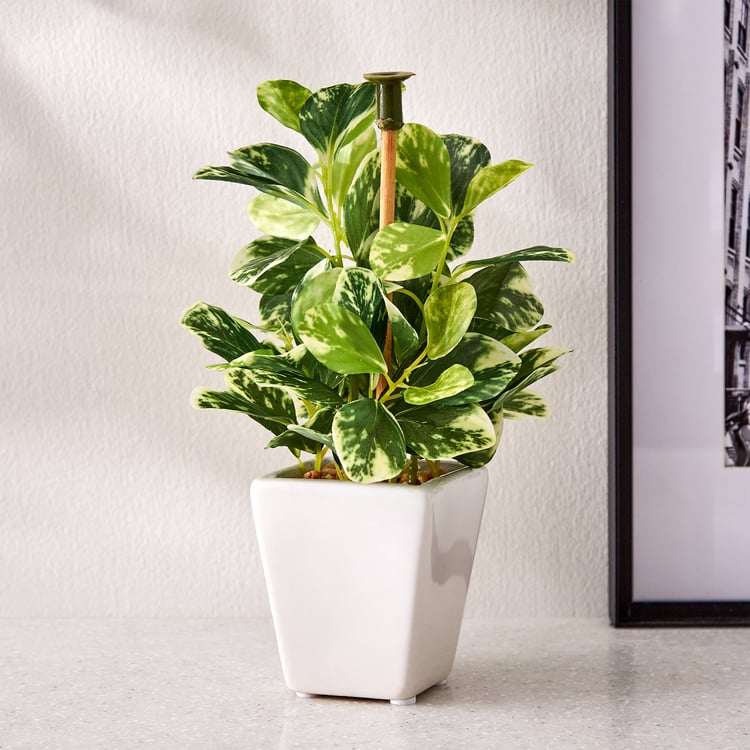 Fiesta Wander Artificial Wandering Jew Plant in Ceramic Pot