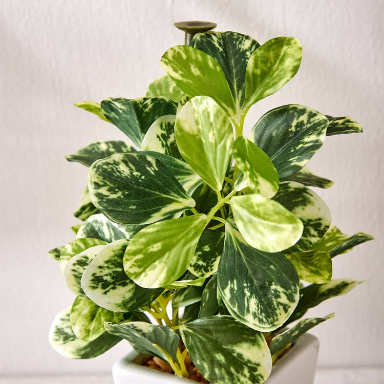 Fiesta Wander Artificial Wandering Jew Plant in Ceramic Pot