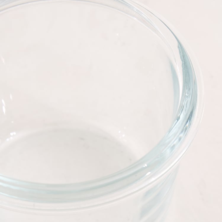 Palestine Astero Deep Borosilicate Glass Storage Container - 150ml