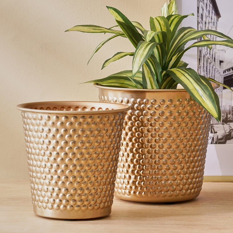 Gardenia Amaze Metal Planter