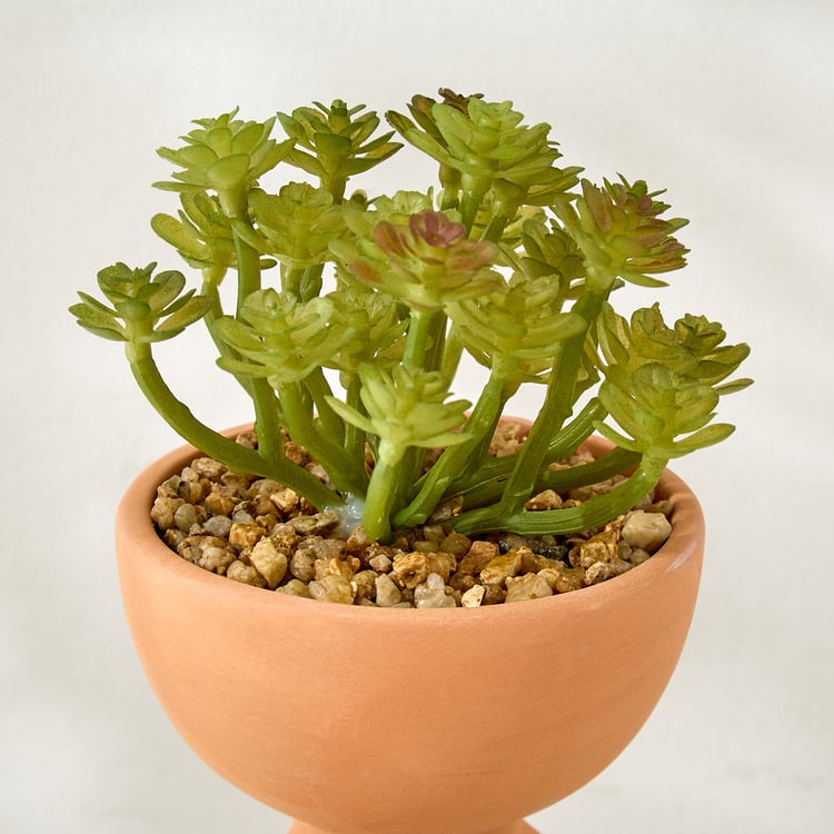 Gloria Elsa Artificial Succulent in Ceramic Pot