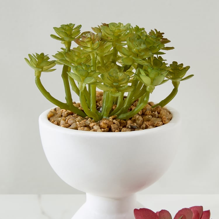 Gloria Elsa Artificial Succulent in Ceramic Pot