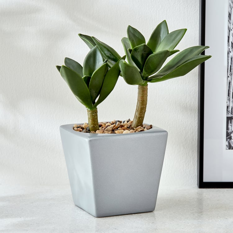 Gloria Tiered Artificial Crassula Ovata Plant in a Pot