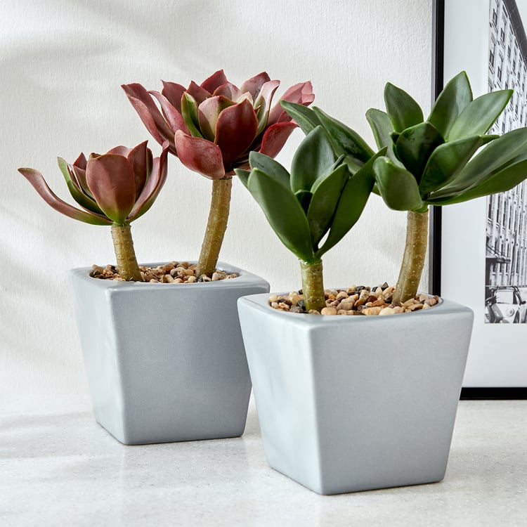 Gloria Tiered Artificial Crassula Ovata Plant in a Pot