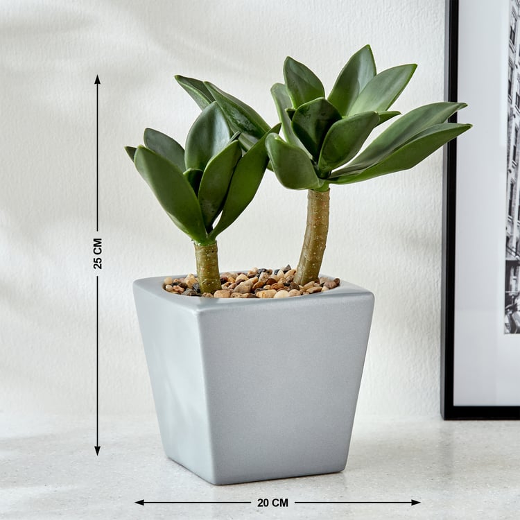 Gloria Tiered Artificial Crassula Ovata Plant in a Pot