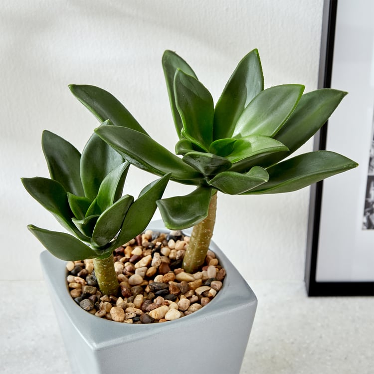 Gloria Tiered Artificial Crassula Ovata Plant in a Pot