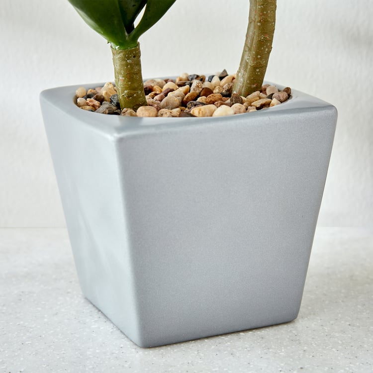 Gloria Tiered Artificial Crassula Ovata Plant in a Pot