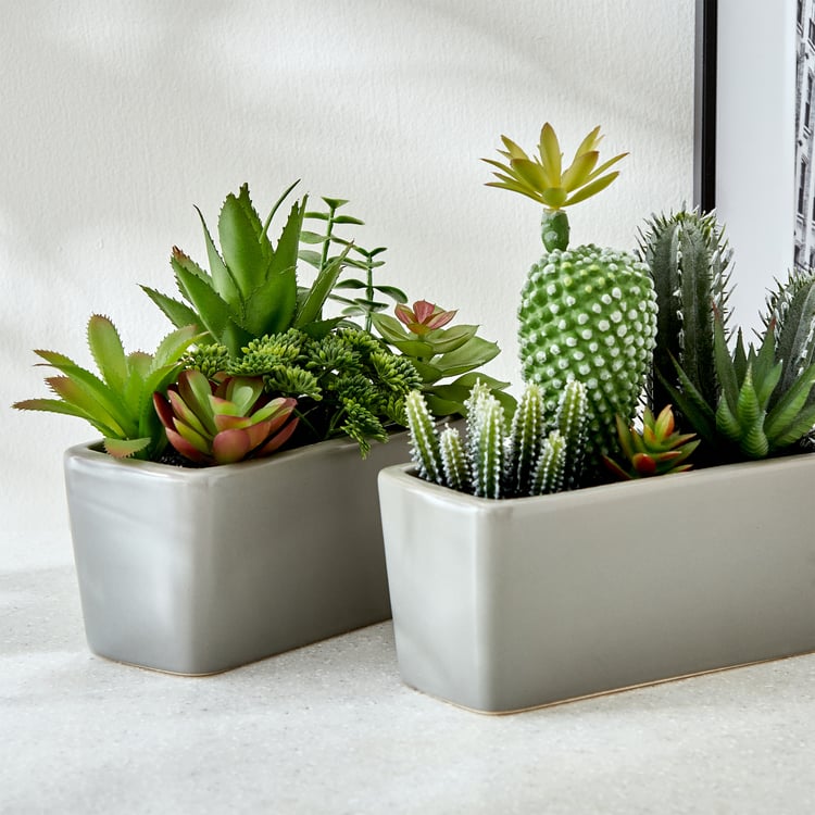 Gloria Tiered Artificial Cactus Potted Plant