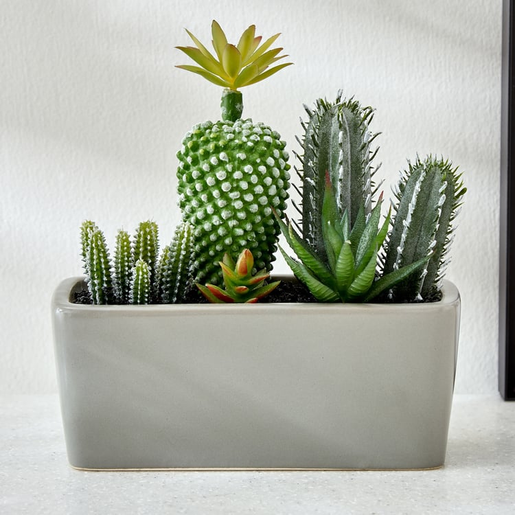 Gloria Tiered Artificial Cactus Potted Plant