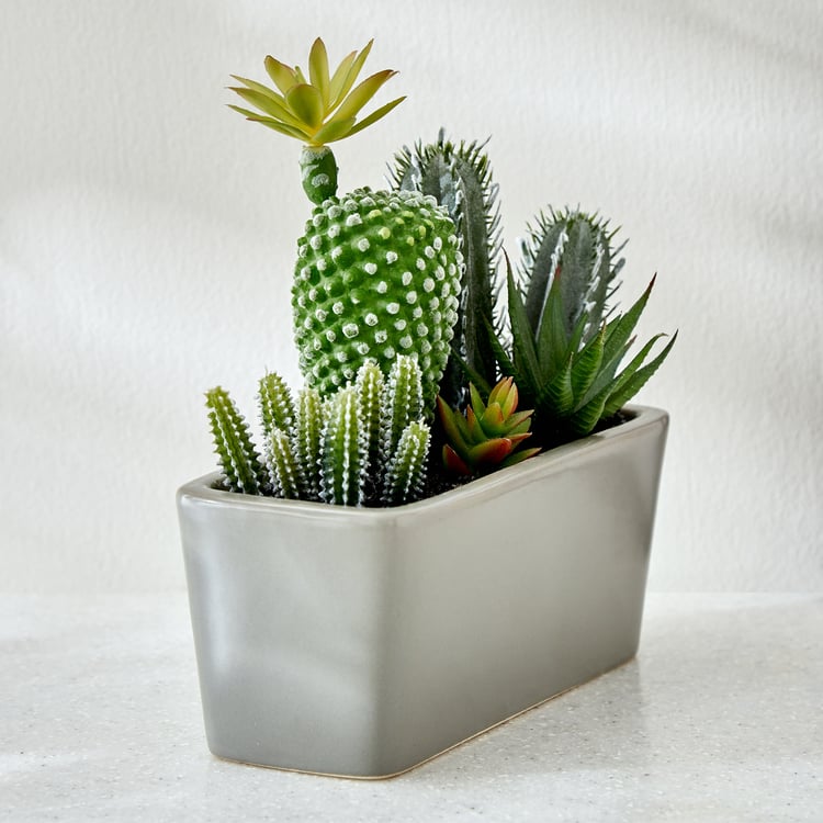 Gloria Tiered Artificial Cactus Potted Plant