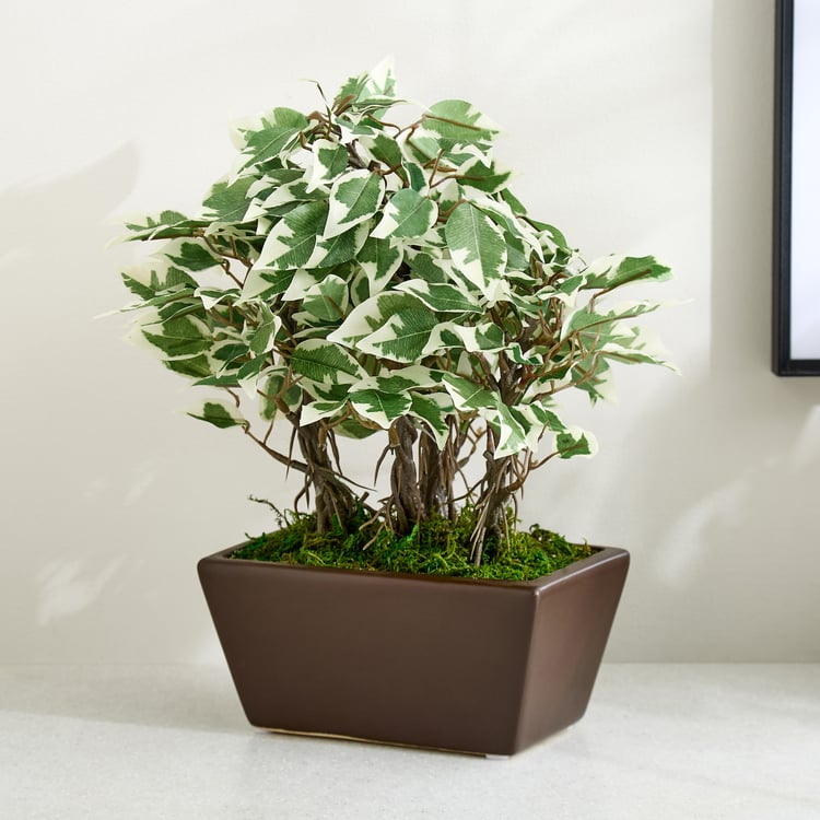 Gloria Artificial Ficus Bonsai Plant in Ceramic Pot