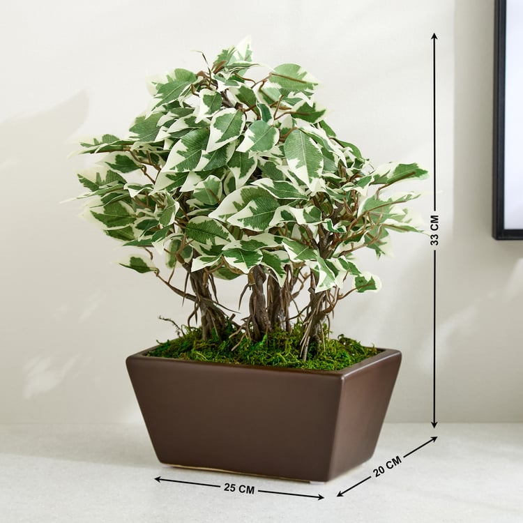 Gloria Artificial Ficus Bonsai Plant in Ceramic Pot