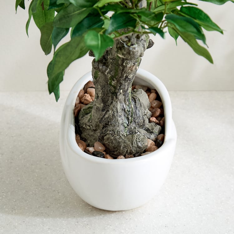 Gloria Artificial Ficus Bonsai Plant in Ceramic Pot