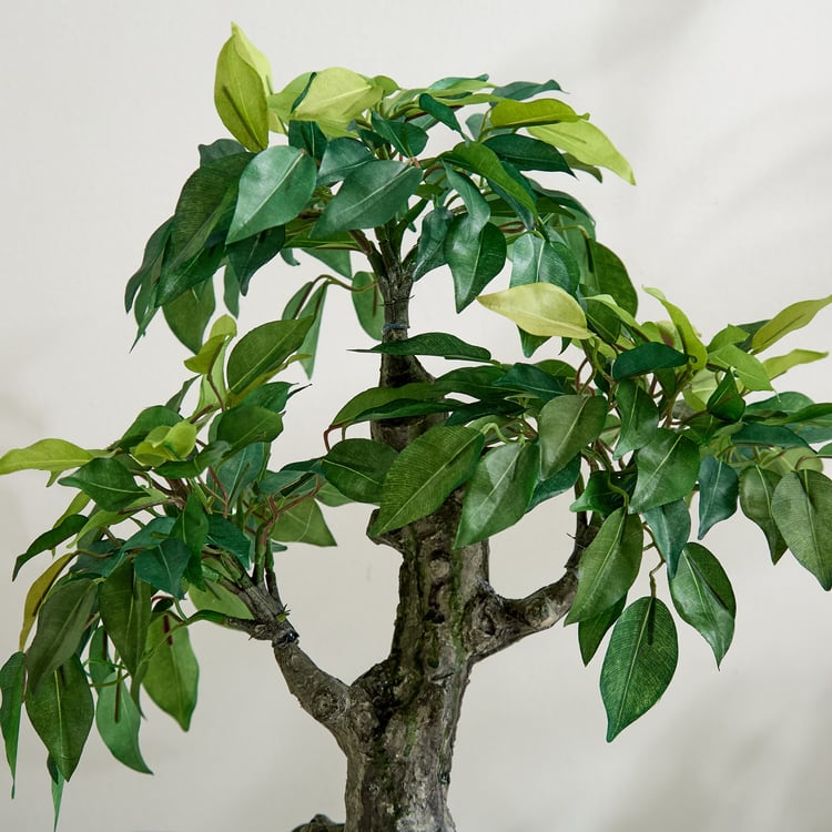 Gloria Artificial Ficus Bonsai Plant in Ceramic Pot