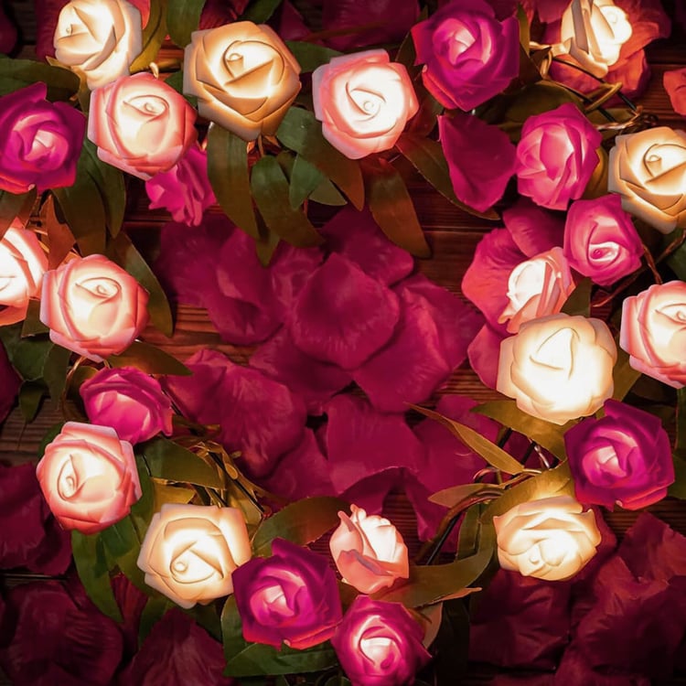HOMESAKE Rose LED String Light - 14 Bulbs
