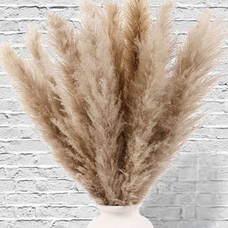 HOMESAKE Set of 10 Dried Pampas Grass Sticks - 76.2 cm