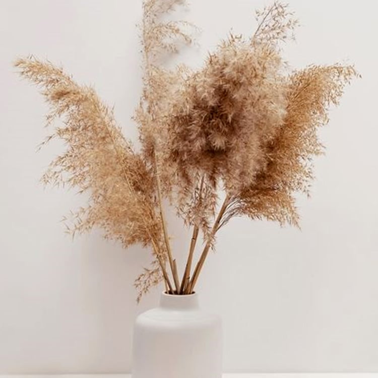 HOMESAKE Set of 10 Dried Pampas Grass Sticks - 76.2 cm