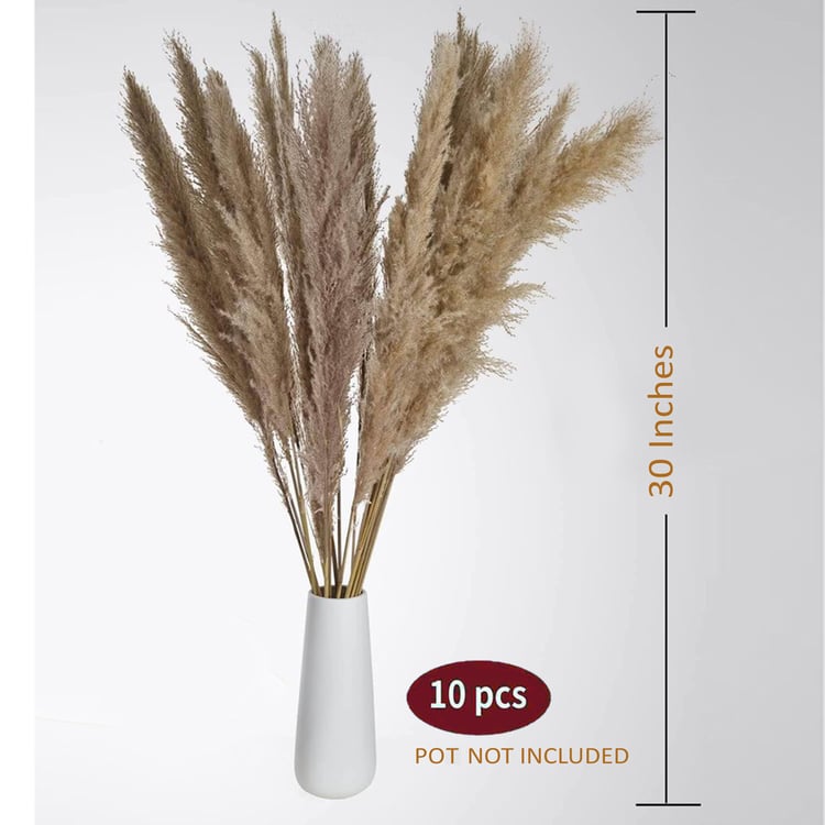 HOMESAKE Set of 10 Dried Pampas Grass Sticks - 76.2 cm