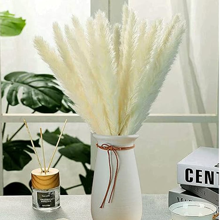 HOMESAKE Set of 10 Dried Pampas Grass Sticks - 76.2 cm