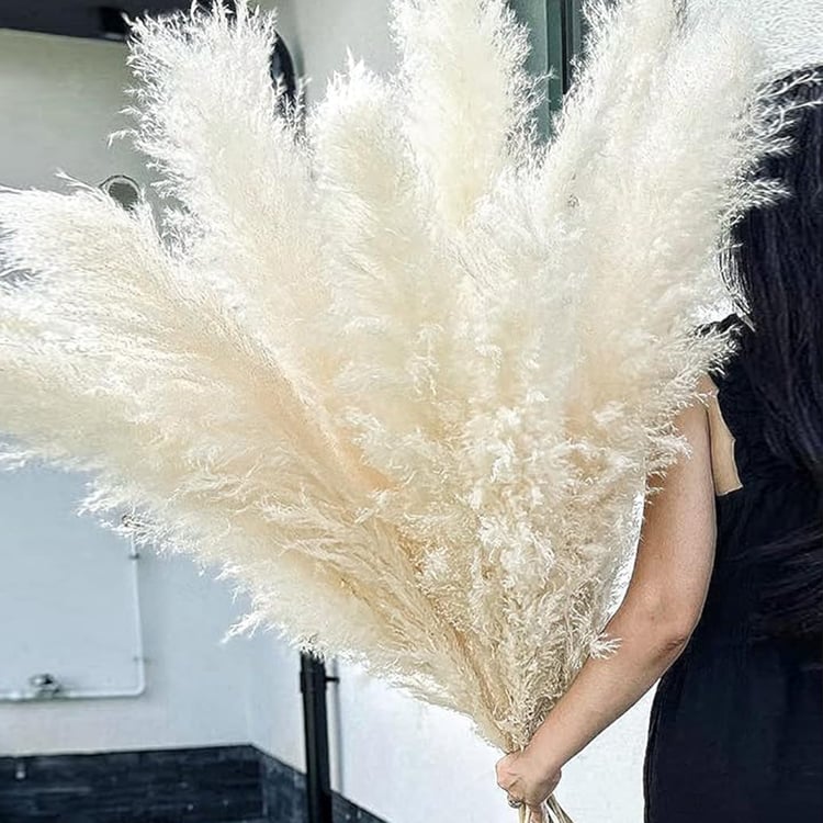 HOMESAKE Set of 10 Dried Pampas Grass Sticks - 76.2 cm