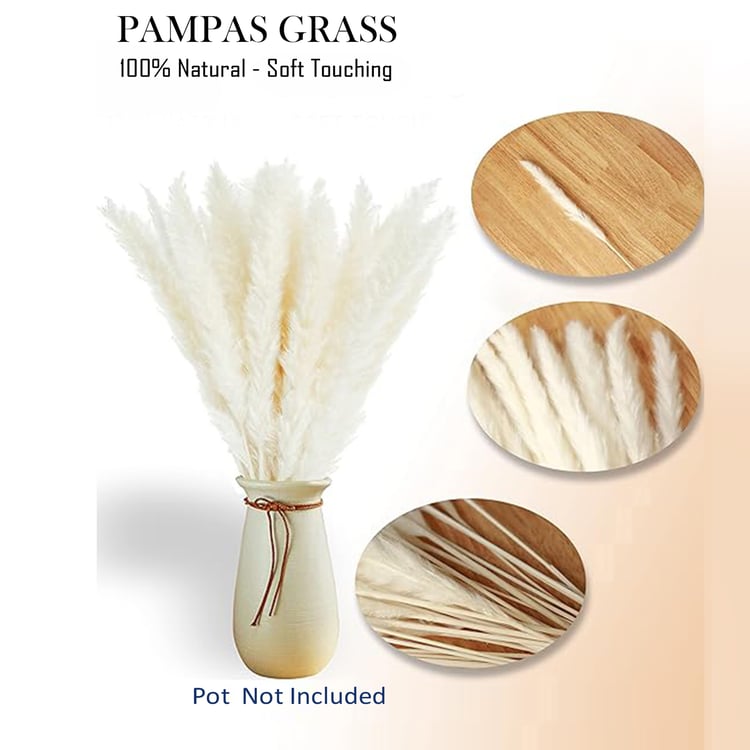 HOMESAKE Set of 10 Dried Pampas Grass Sticks - 76.2 cm