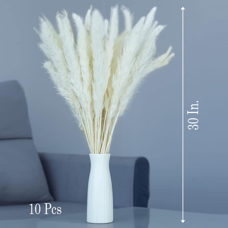 HOMESAKE Set of 10 Dried Pampas Grass Sticks - 76.2 cm